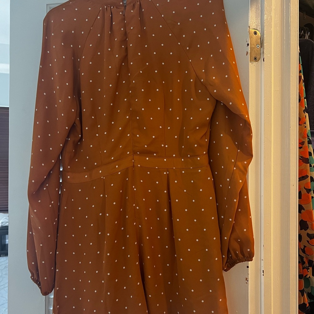 Express Rust Dress with White Accents